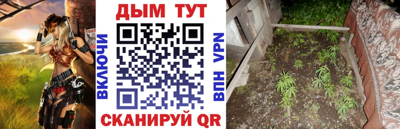 Виды наркотиков купить Кудымкар БУТИРАТ  Канабис  МЕФ  Гашиш  Амфетамин  КОКАИН  СОЛЬ 