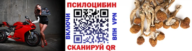 Галлюциногенные грибы GOLDEN TEACHER  Кудымкар 
